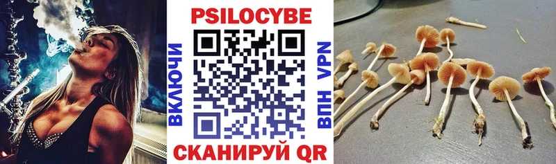 Галлюциногенные грибы мицелий  Курчатов 